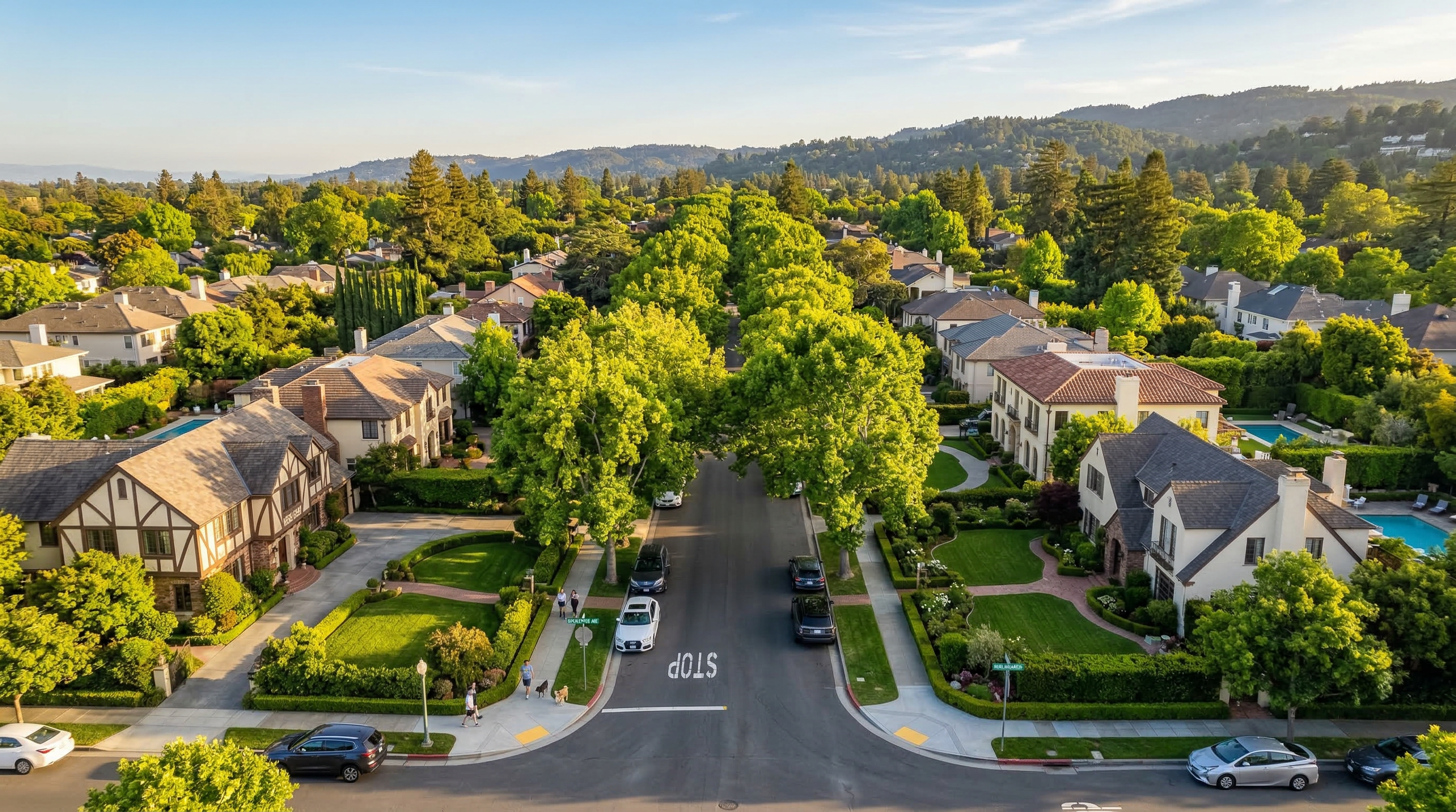 Aerial view of Peninsula neighborhood
